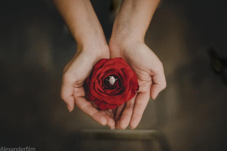 hand holding a rose with a ring in the centre
