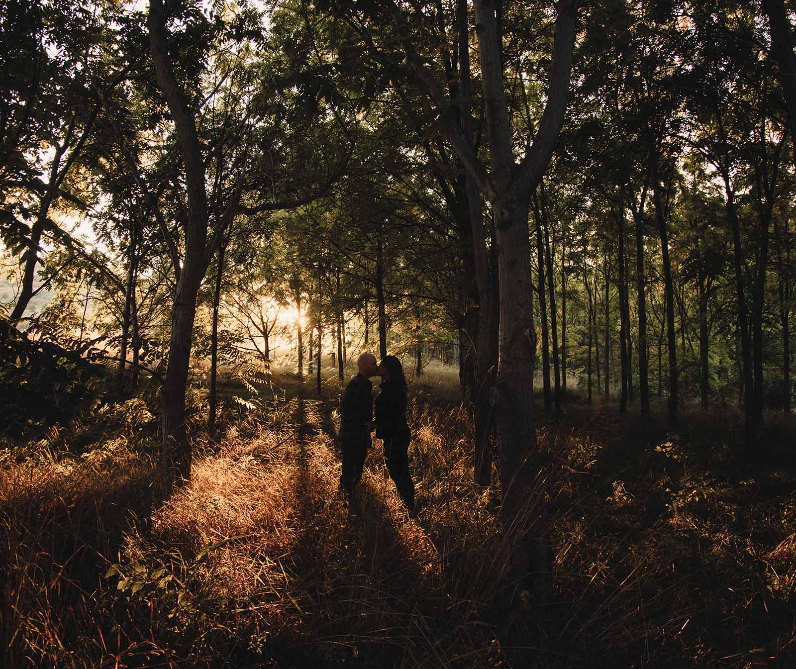 Couple kissing in forest with big shadows