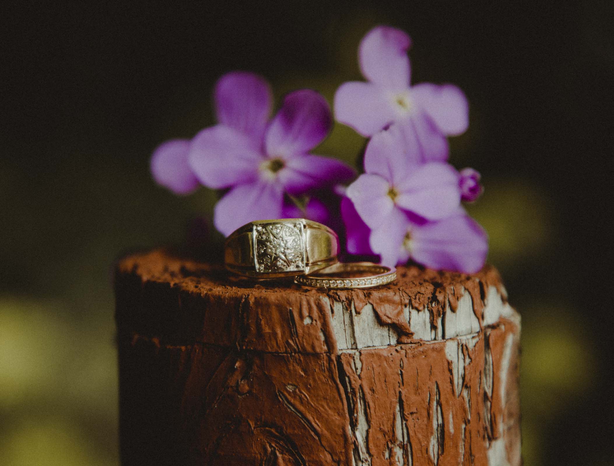 Wedding and a Engagement Ring on a stump