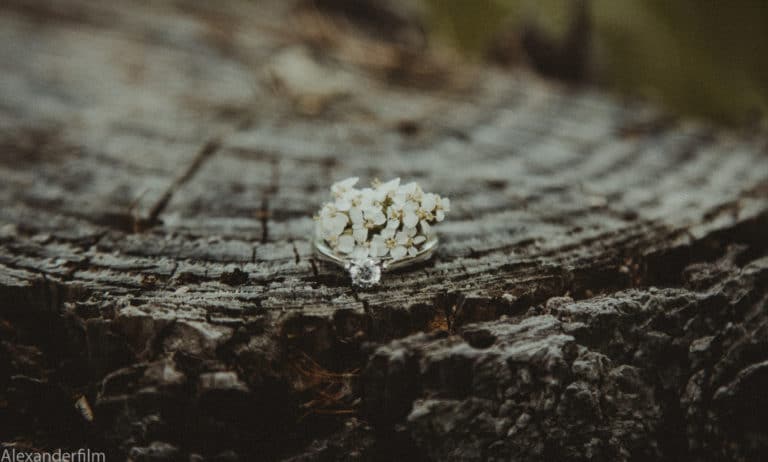 ring on a stump with a flower in it