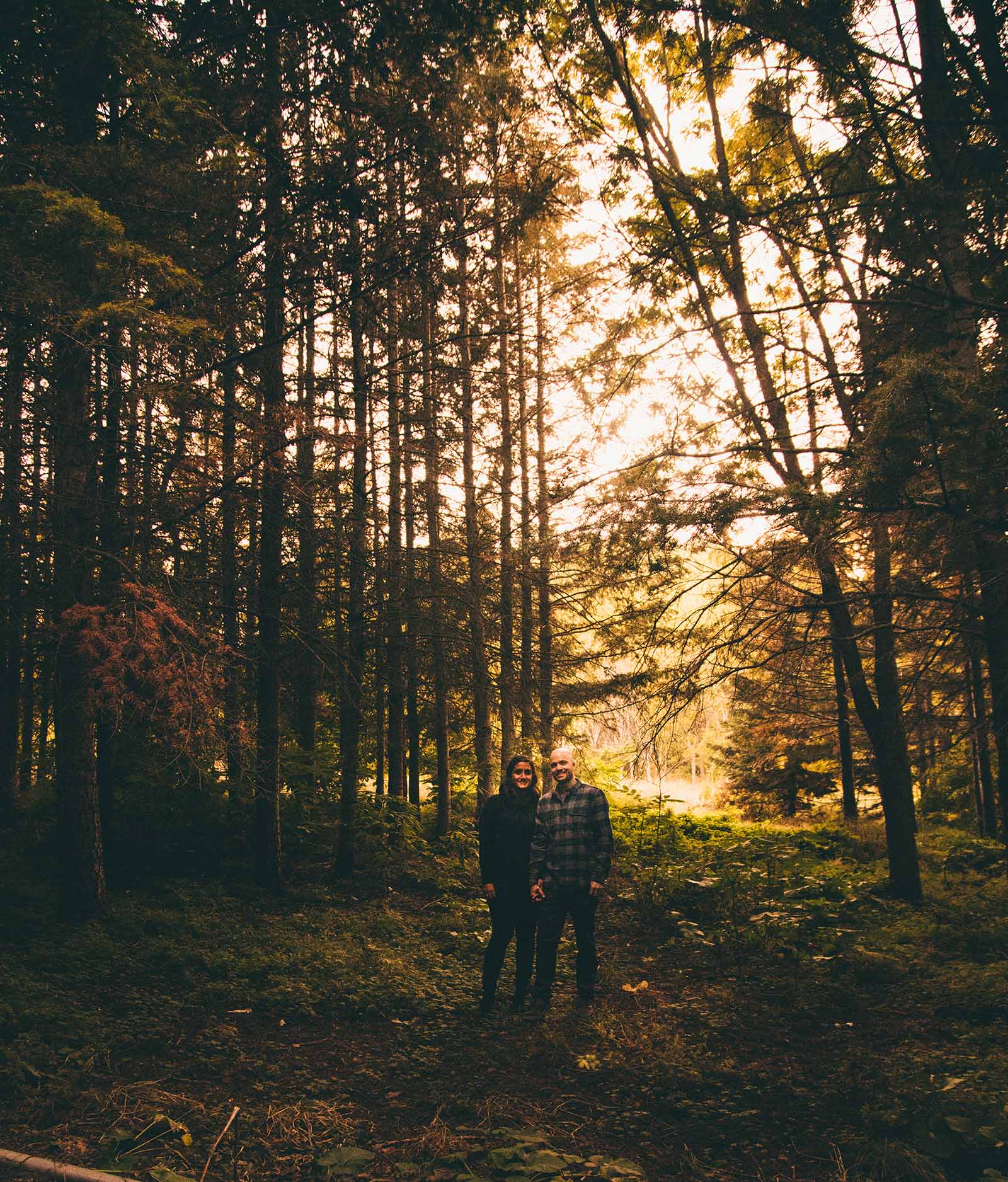 Couple standing in a thick forest