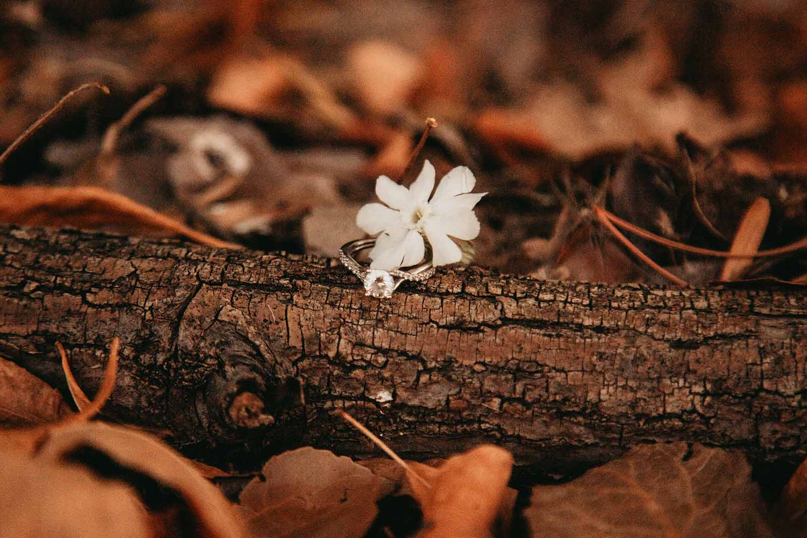 Engagement ring on a branch with a flower on it