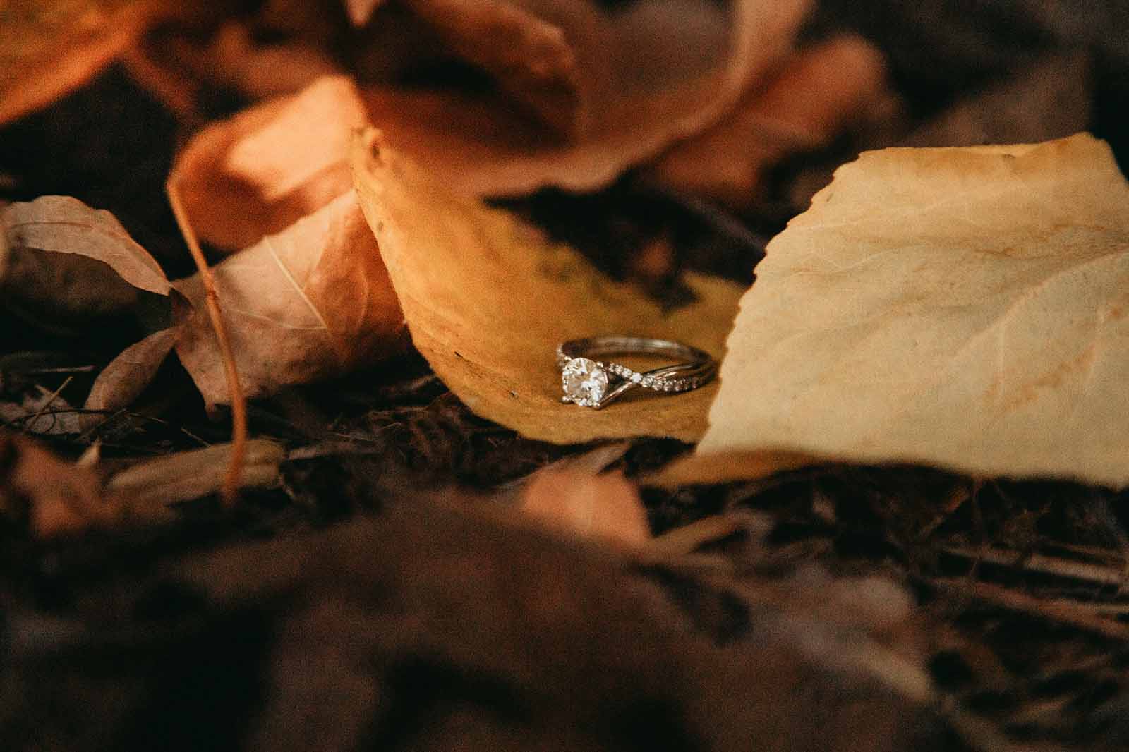Engagement ring on a leaf