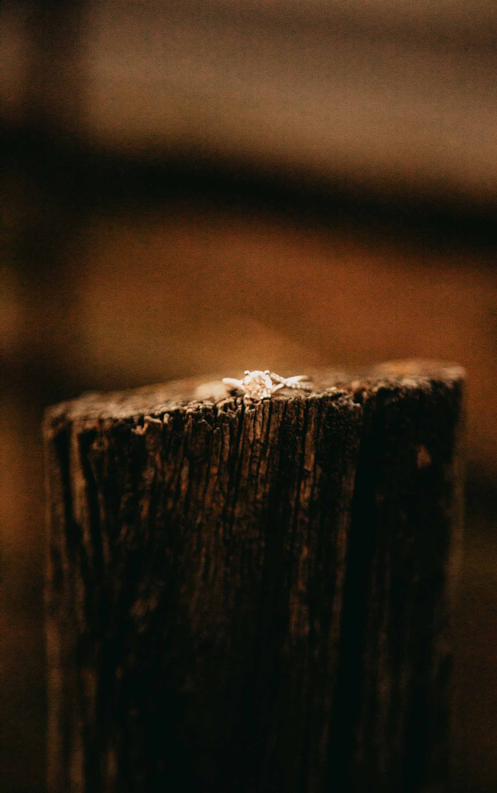 Engagement ring on a stump