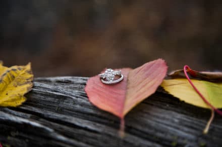 an engagement ring on a leaf